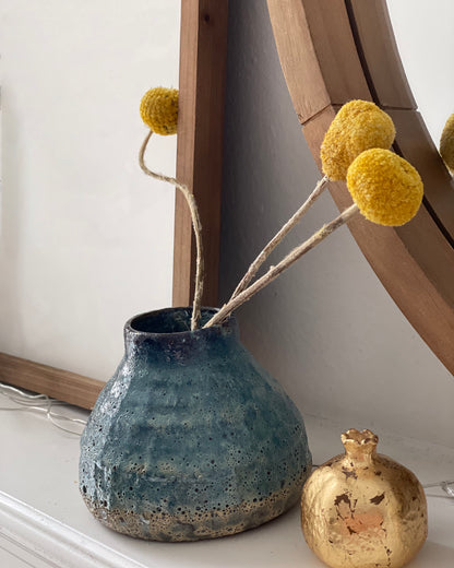 Naturally Dried Craspedia Billy Buttons